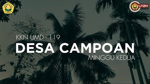 MINGGU 2 | KKN UMD 119 UNIVERSITAS JEMBER DESA CAMPOAN