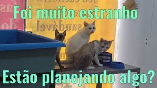 GANHEI ATÉ UM EU TE AMO