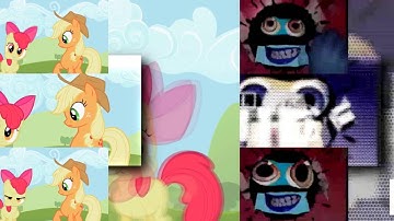 46 Shuric Scans With All Slides