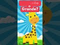Esto es Pequeño o Grande, video interactivo para niños. #videoseducativos #educacioninfantil #fpy