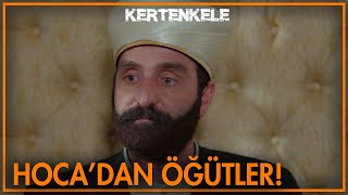 Hocadan Öğütler - Kertenkele