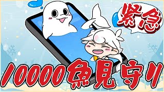【突発縦型】10000魚を見守る【白・まろやか】 #shorts