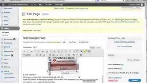 Infusionsoft OptimizePress Tutorial:  Your Fastpass to Success