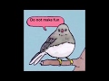 &quot;Do not bully people&quot; - Ninja (Bird meme)