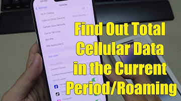 iPhone 14/14 Pro Max: How to Find Out Total Cellular Data in the Current Period/Roaming