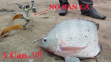 Nắng lên đụng toàn hàng khủng - Ná bắn cá V3 mãi đỉnh