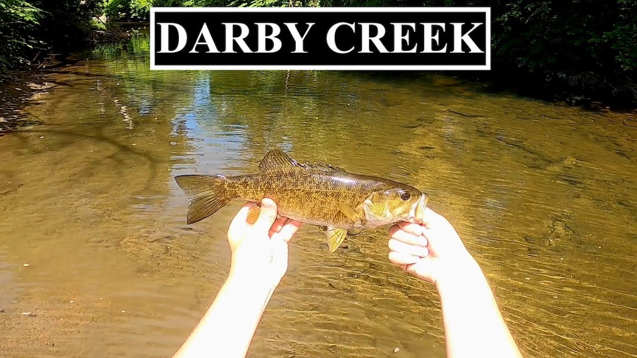 Fishing Pilgrim Park Darby Creek in Drexel Hill Pennsylvania YouTube