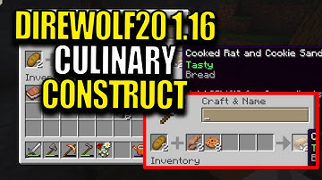 Minecraft Direwolf20 Modpack 1.16 Ep 3 - Culinary Construct