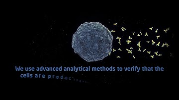 DTU Biosustain - CHO Workflow