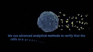 Dtu Biosustain - Cho Workflow