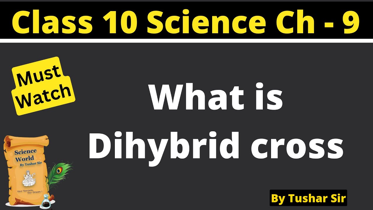 dihybrid-cross-class-10-diagram-my-xxx-hot-girl