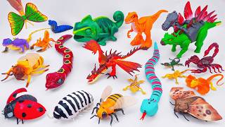 ZURU ROBO ALIVE COLLECTION | UNBOXING Robo T- Rex Dinosaur, Robo Snake , Robo Spider | ASMR