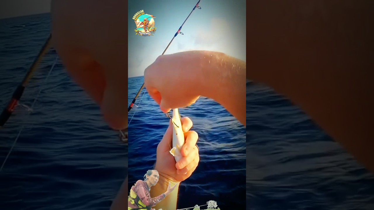 ВОТ КАК ЛОВИТЬ КРУПНУЮ РЫБУ 