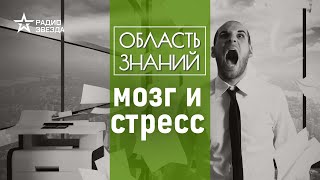 Как хронический стресс влияет на мозг человека? Лекция нейробиолога Вячеслава Дубынина