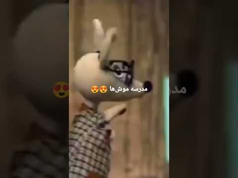 یادش بخیر مدرسه موشها