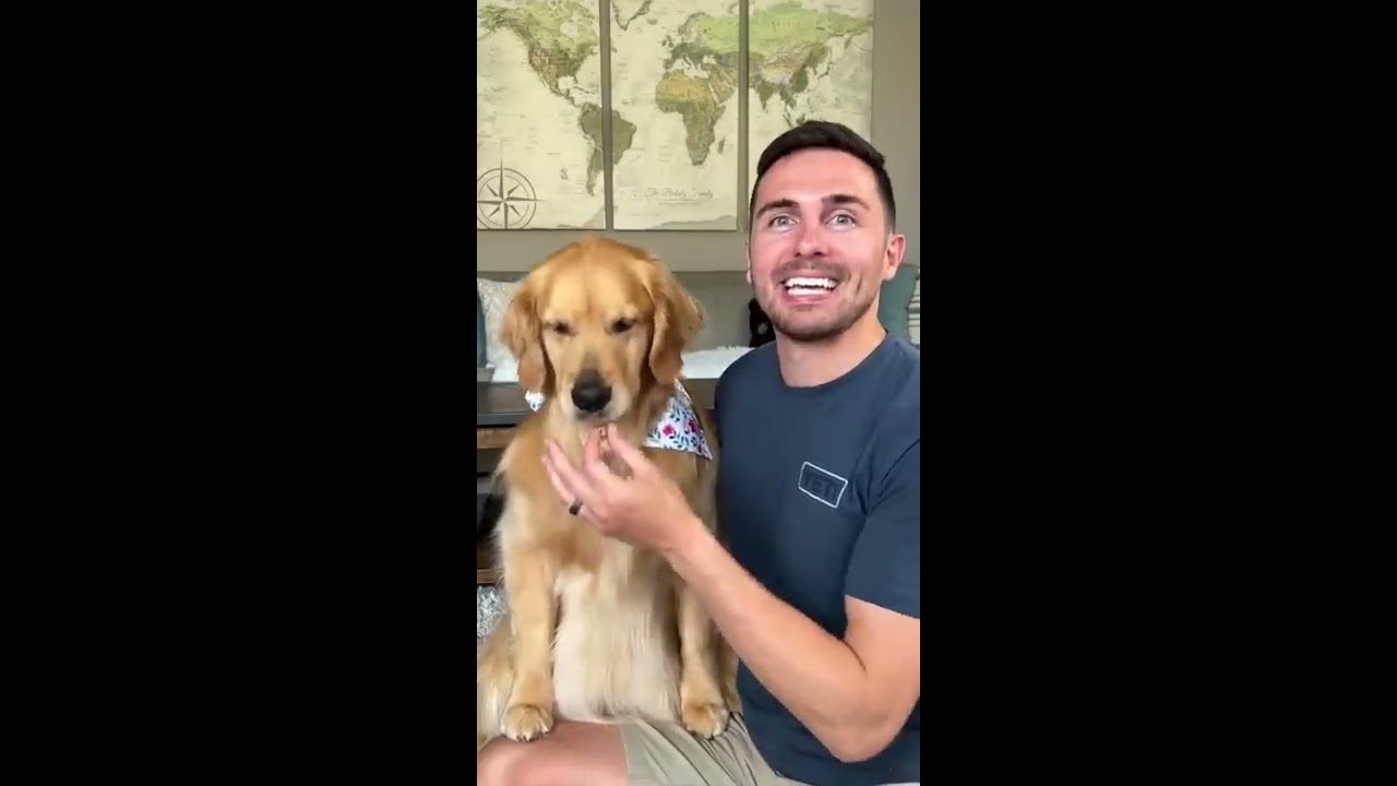 How I Trained My Dog To Smile Tutorial Goldenretriever