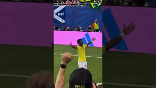 Gol de Vinicius desde la grasa... #vinicius #brasil #fifa #worldcup #highlights