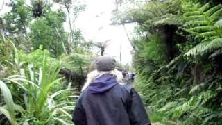Bild 014.avi