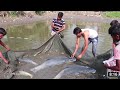 A Net Full Of Fish | Fishing From The Net | All kinds Of Fish 2021