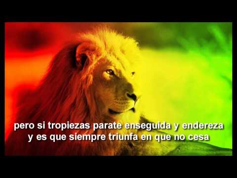 vibra positiva zona ganjah