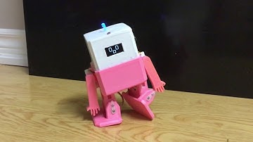 The Pink Prancer - The Dancing Robot