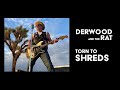Torn To Shreds, by Derwood Andrews and Rat Scabies.