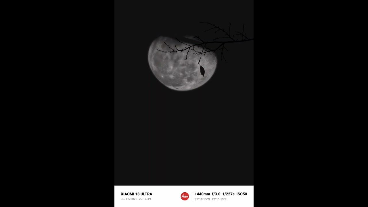 Canfeza-Ölüm Rabıtası Beat