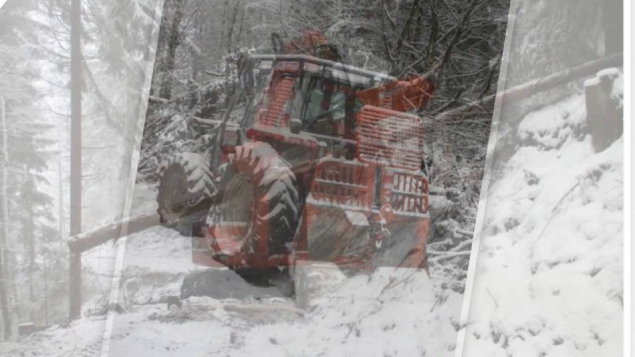Holzschlägerung Pöchlinger  Yspertal
