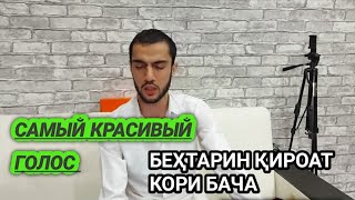 самый красивый чтение корана в город Тюмень кори таджик