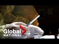 Global National: Jan. 8, 2021 | Canada's premiers concerned over possible vaccine shortage