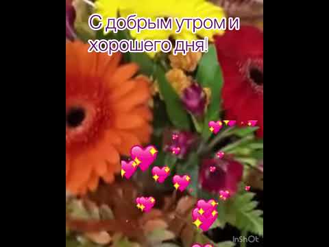С☀️добрым🎁утром🎈и💐хорошего🍁дня!💝