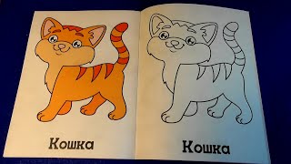 😻Моя Первая  Раскраска | Красивая Кошечка  | My First Coloring Book