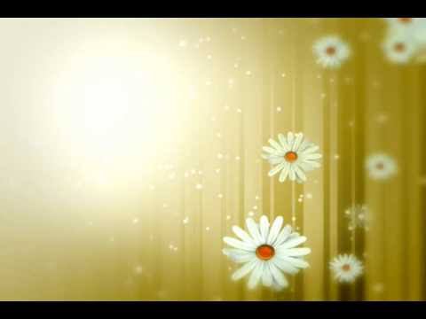 Valsa das Flores(Tchaikovsky)-Waltz of the Flowers.wmv