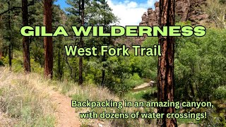 Backpacking the Gila West Fork River Trail, Gila Wilderness - New Mexico