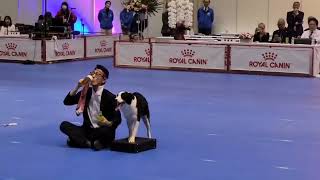 2023.4.1 JKC SAKURA ANNUAL SHOW 2023 DogDance Demo Tetsuro Ito & Sunny