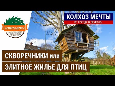 Вопрос: Как сделать синичник Чем он отличается от скворечника?