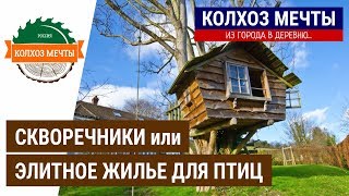 Скворечник (синичник) своими руками | Birdhouse with his own hands