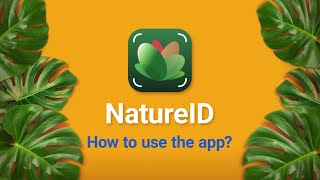 How to use NatureID app on IOS? screenshot 2