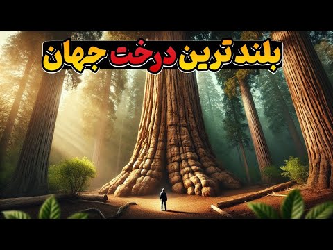 ژنرال شرمن بزرگترین هیولای سبز زنده دنیا