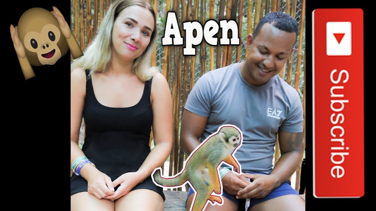 KNUFFELEN MET MINI AAPJES 🐵 VAKANTIE VLOG