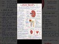 #biology #neet #medicalstudent #gk #exam #gkquiz #साइंस Human Kidney मानव किडनी