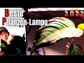 Die beste Pflanzenlampe 💡 Sanlight Flex Vollspektrum LED für deine Zimmerpflanze