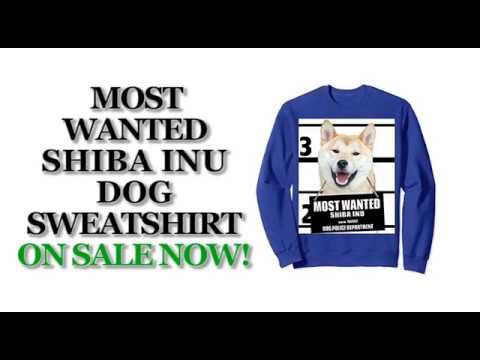 most-wanted-shiba-inu-cute-funny-dog-sweatshirts---men's,-women's,-kid's---black,-navy,-blue