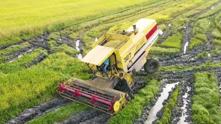 Mesin Padi Nh8060 327 Wekang Nh8060 326 Di Pida 1..