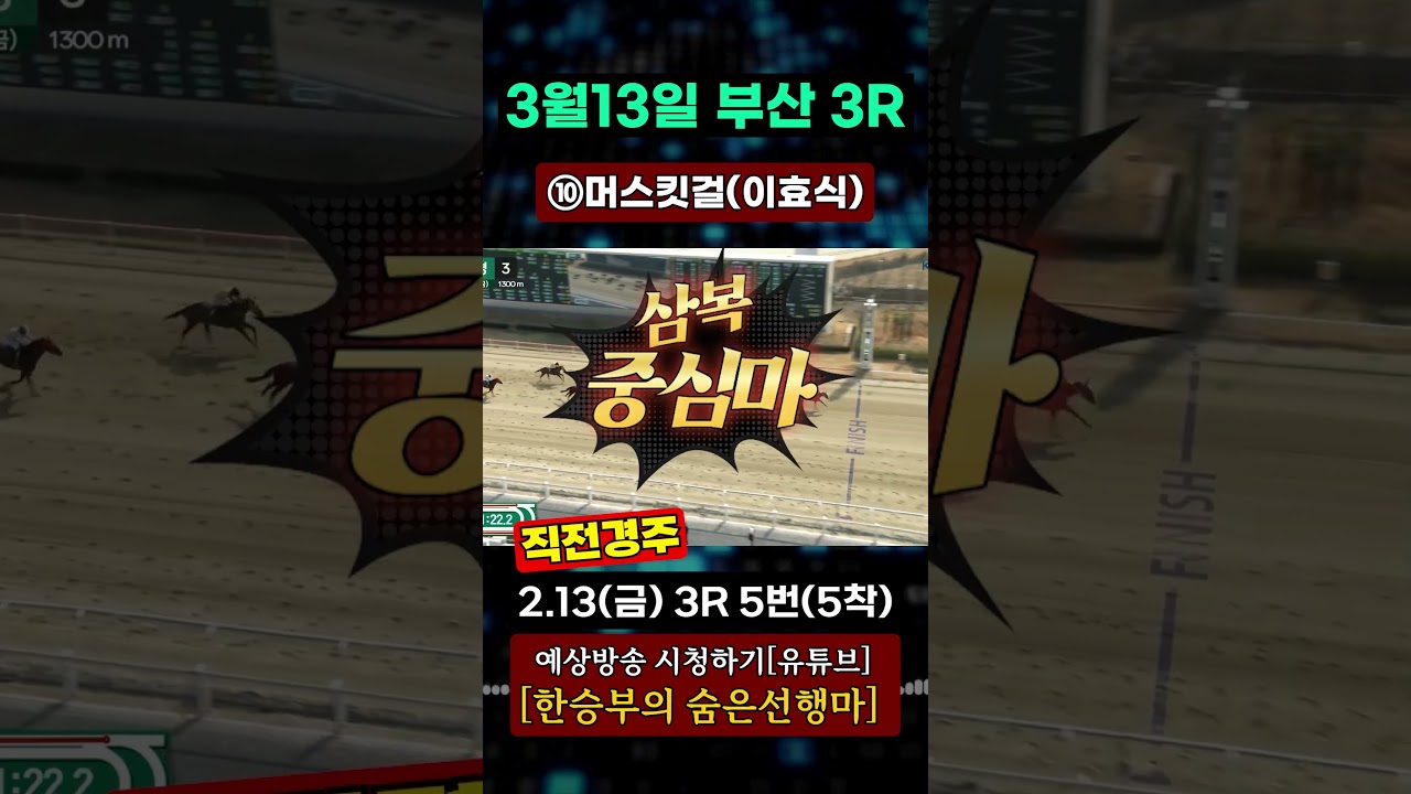 2025년3월13일[금요경마] 삼복 중심은??#shorts#경마#한승부경마
