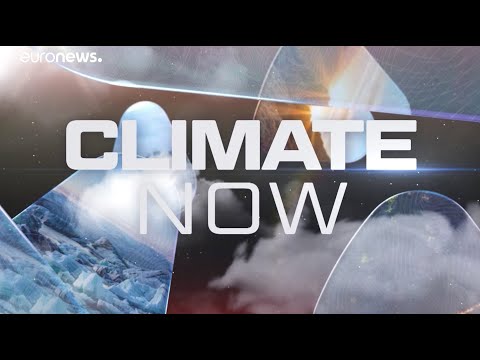 Climate Now by Copernicus - October 2023
