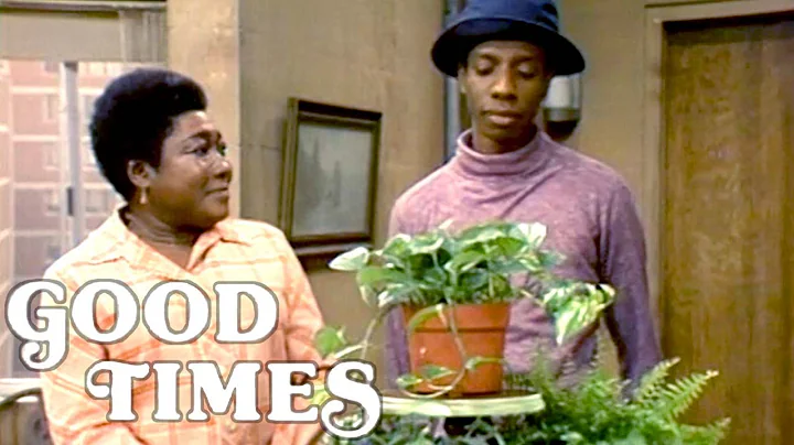 Good Times | Florida's 'Cleanest Apartment' Compet...