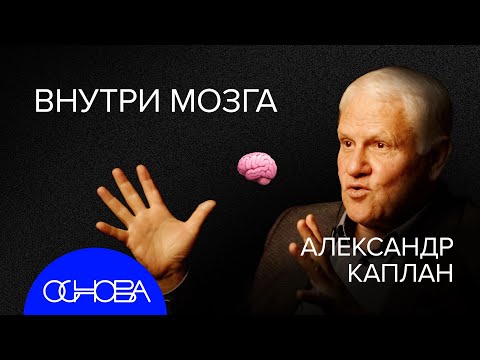 КАПЛАН: Мозг Эйнштейна, ChatGPT, Интуиция, Neuralink