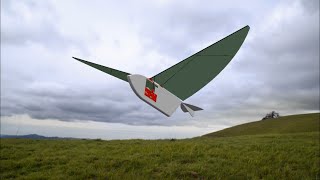 Ornithopter Simulation in Solidworks